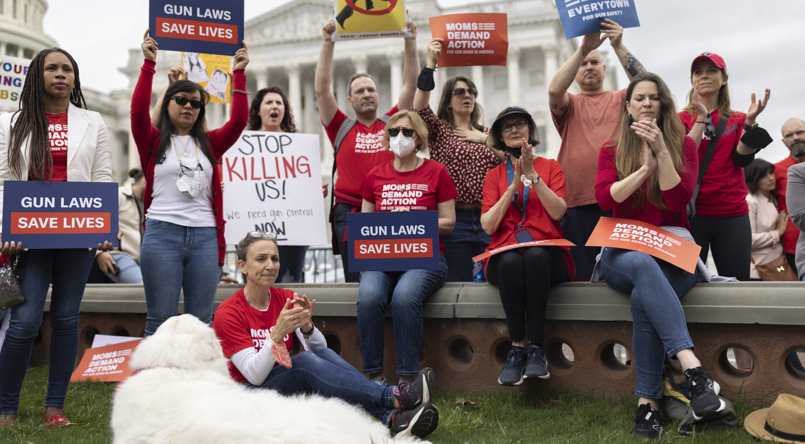 Moms Demand Action volunteers hold up "Gun Laws Save Lives" signs on Capitol Hill
